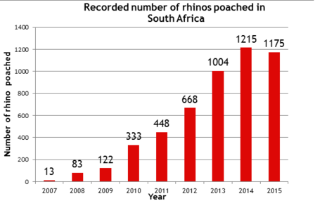 Rhino poaching. These are the reasons our animals are being slaughtered.